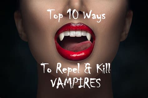 vampire stakes|Top 10 Ways to Repel and Kill Vampires .